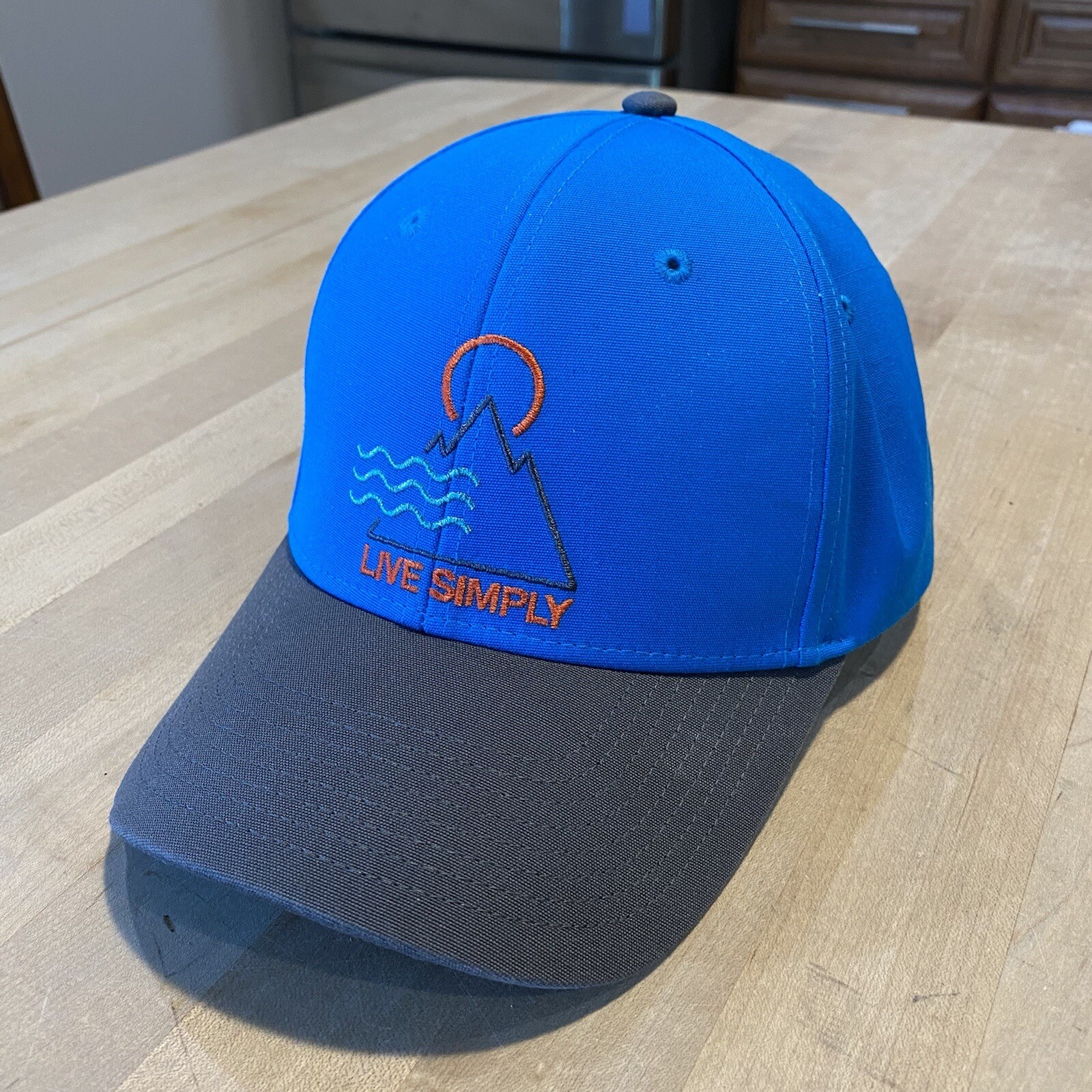 Patagonia Live Simply Santa Anas Roger That Hat – New W/out Tags – Grecian Blue