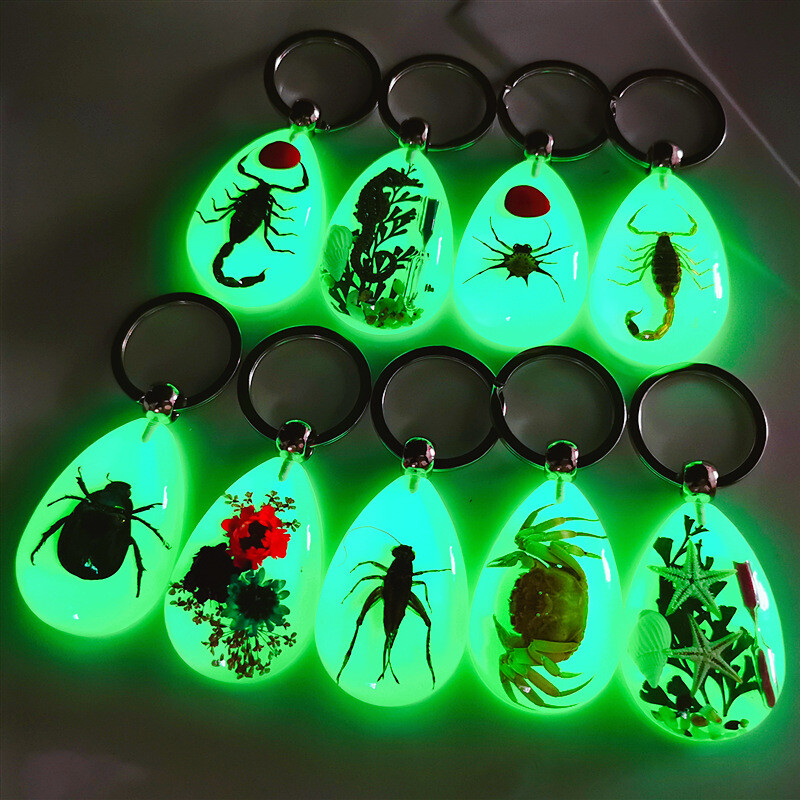 Luminous key chain amber insect ornament holiday gift crab seahorse ant flower