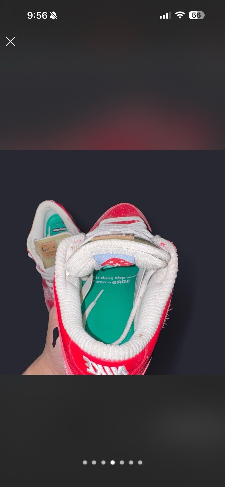 Nike Stingwater x Dunk SB Low Magic Mushroom Speckled Red/White DH7650-600