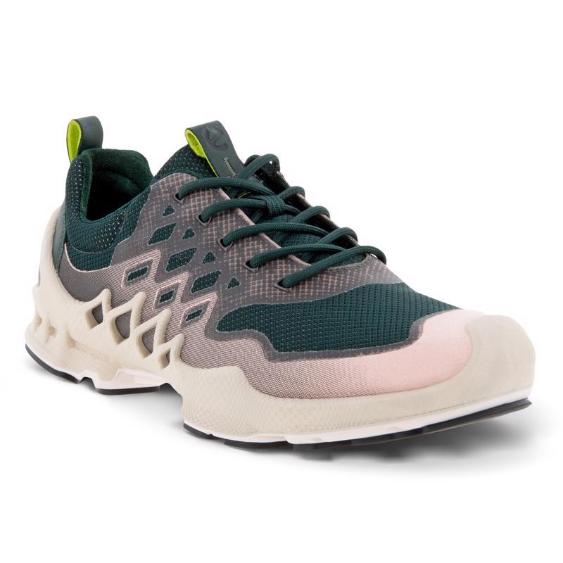 ECCO Women’s Biom Sea Tangle / Silver Pink Low Tex New In Box Free Shipping
