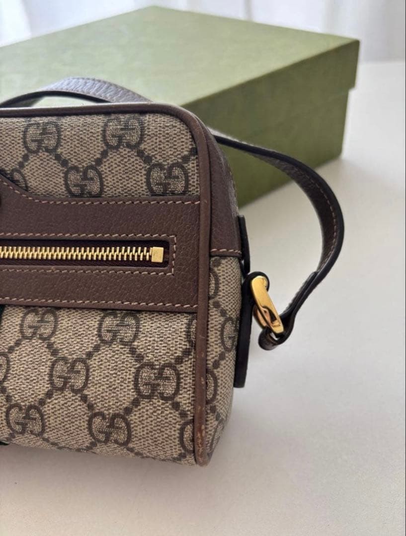 GUCCI Minnie Shoulder Bag Ophidia Gift Present 0620b