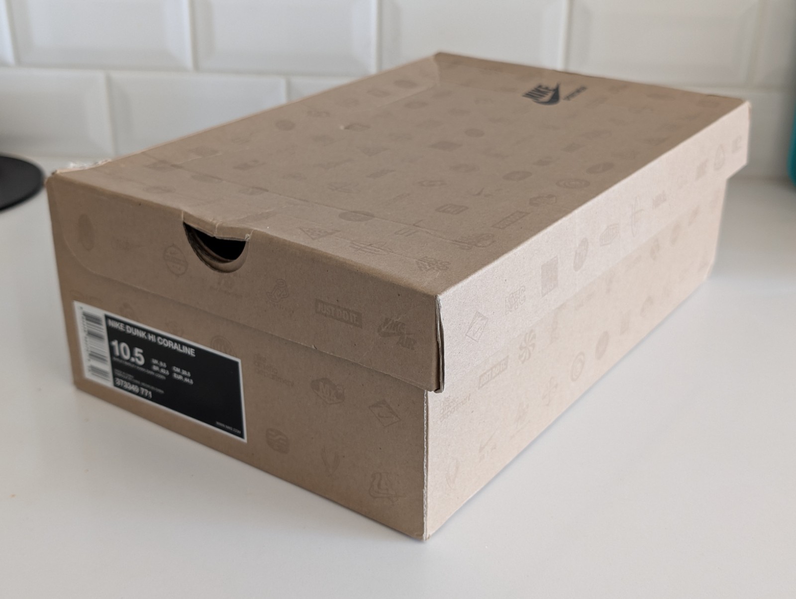 Size 10.5 – Nike Dunk High Coraline