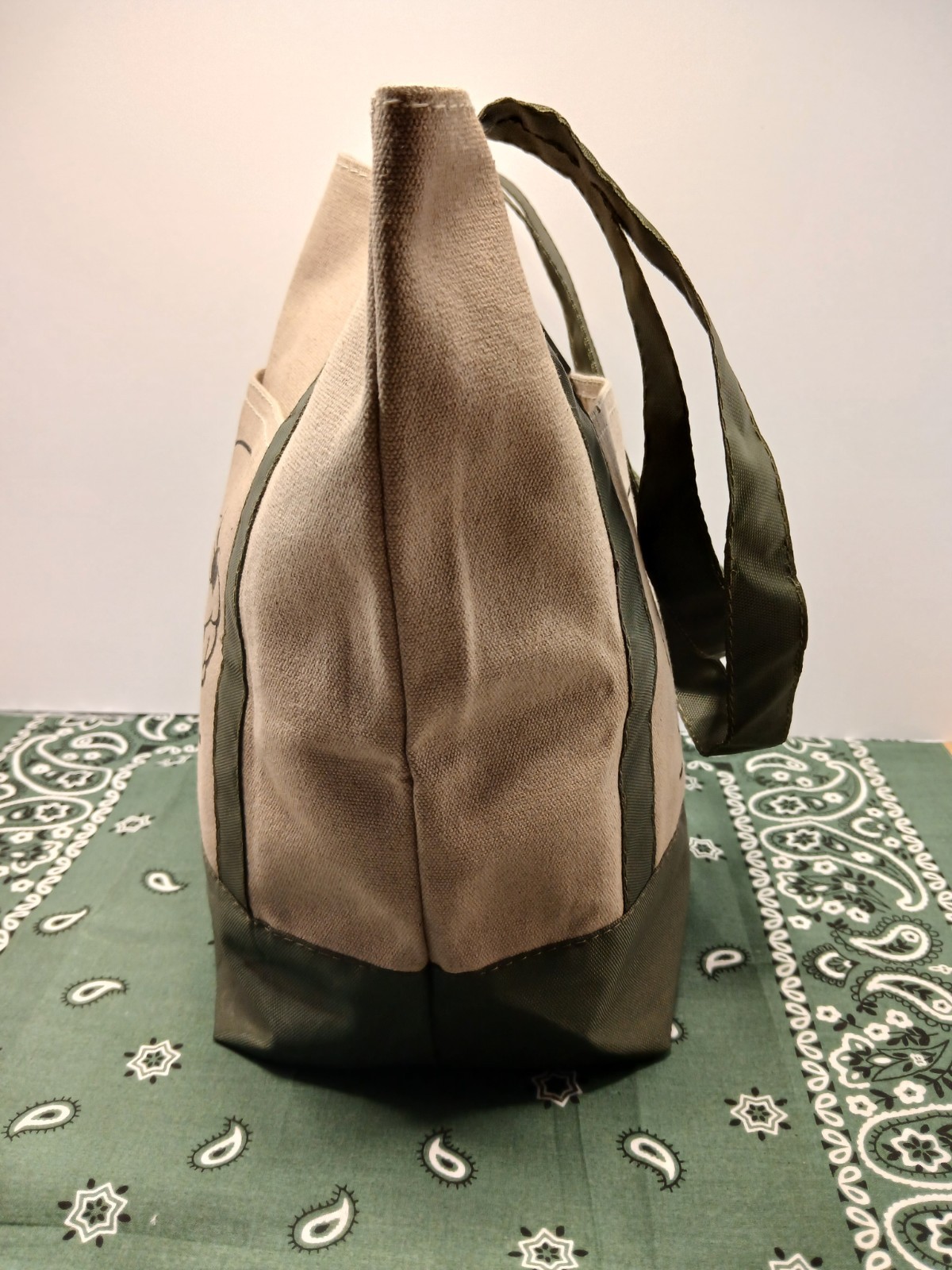 Buc-ee’s Mini Tote Bag New 13×12 Market Bag Small Reusable ~ Canvas & Green Tote