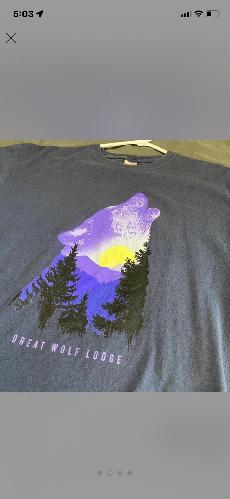 The Duck Co Great Wolf Lodge Blue Graphic Print Crew Neck Short Sleeve T-Shirt L
