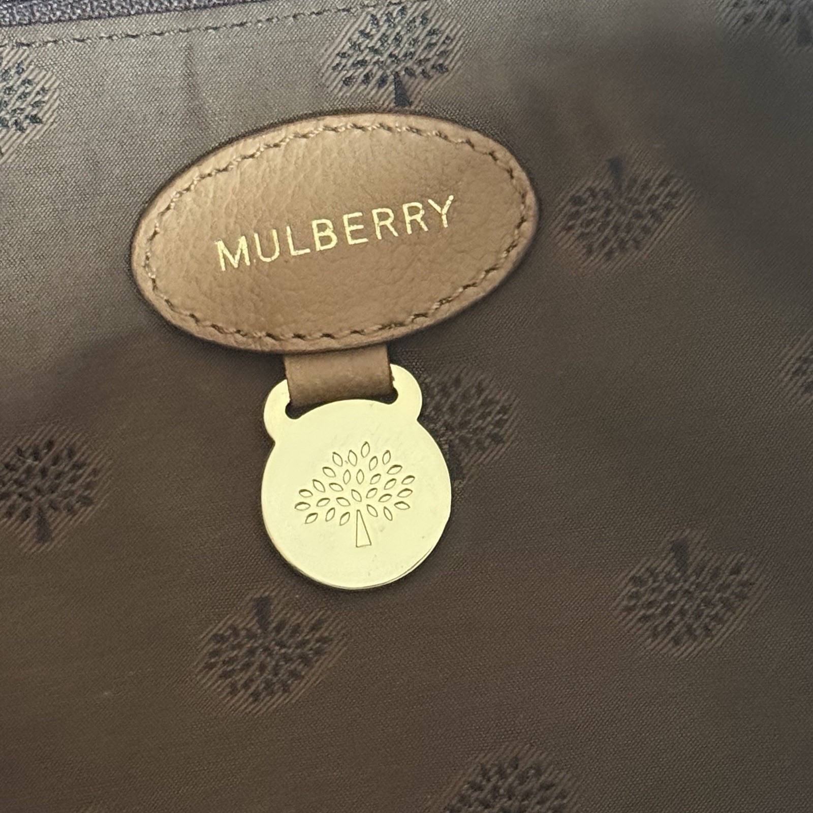 Mulberry Del Rey Leather Satchel Top Handle Bag