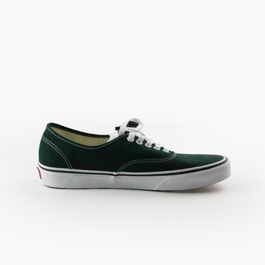 Vans Authentic Color Theory Shoes Scarab