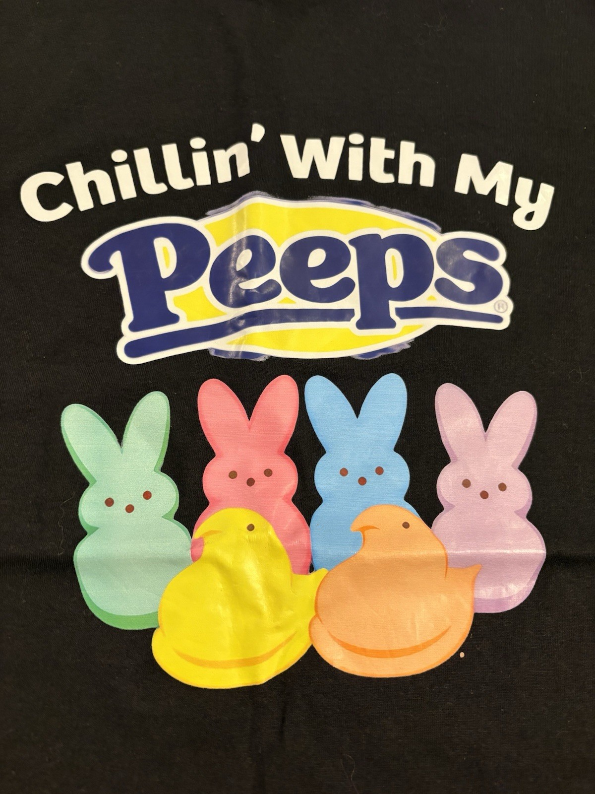 Chillin’ With My Peeps Graphic Print T-Shirt Black XL Crew Neck Easter