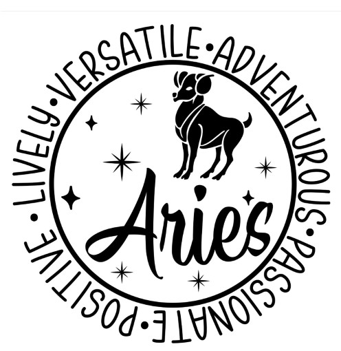 Zodiac Signs Custom Unisex Tshirt (Gemini, Aries, etc (Read Description)