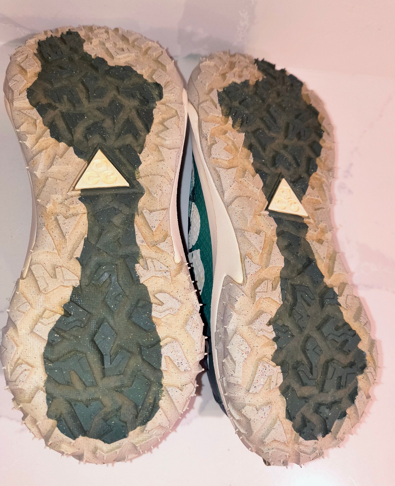 Nike ACG Mountain Fly 2 Low Bicoastal Hiking/Trail Running – Men’s Size 12