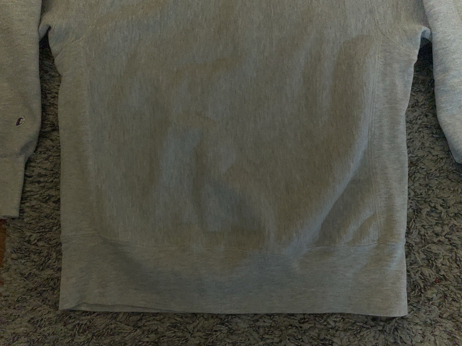 Vintage 1990s Pitt Champion Reverse Weave Sweatshirt XL University Of Pittsburgh