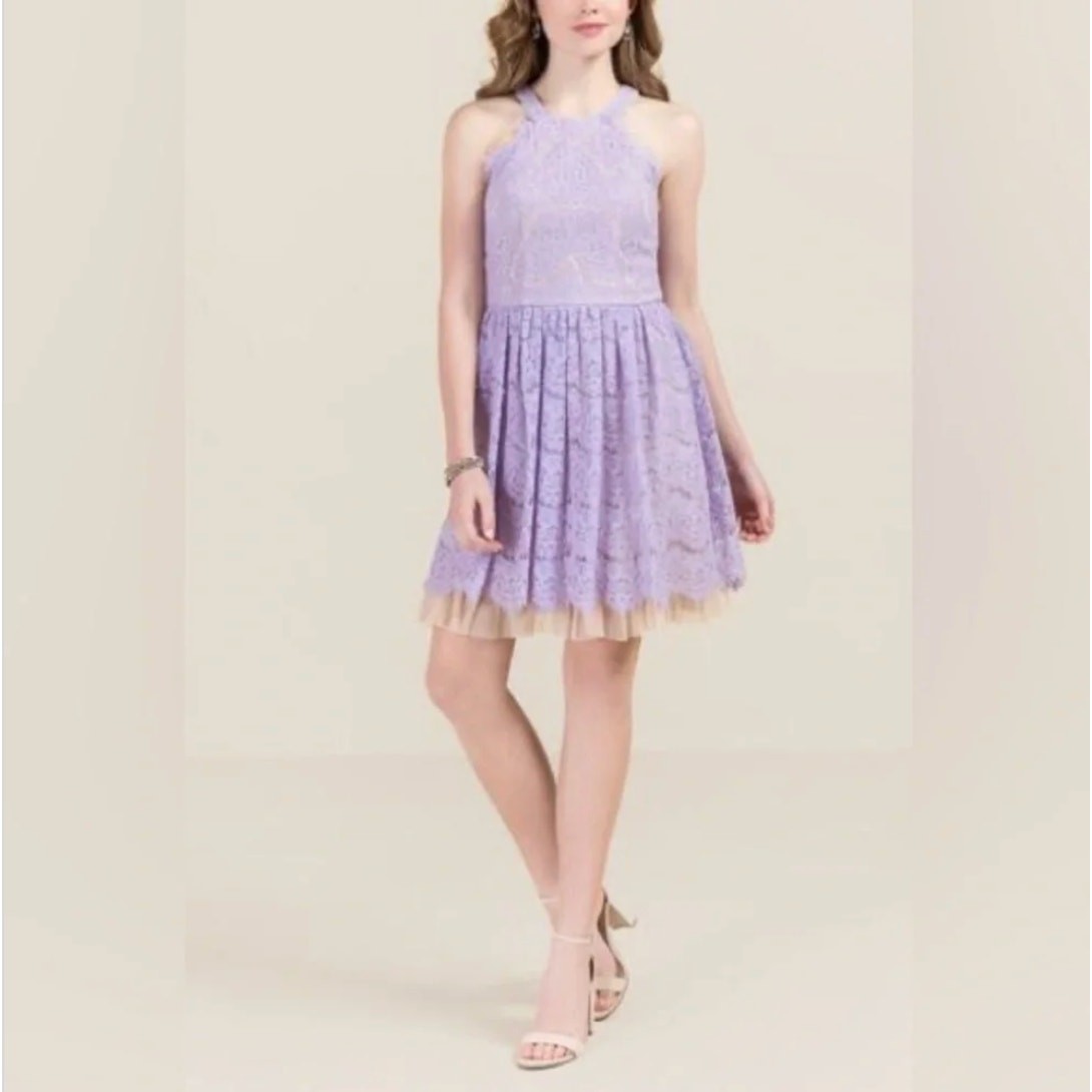 M Francesca’s allover lace Purple Lavender dress Halter fit and flare skater