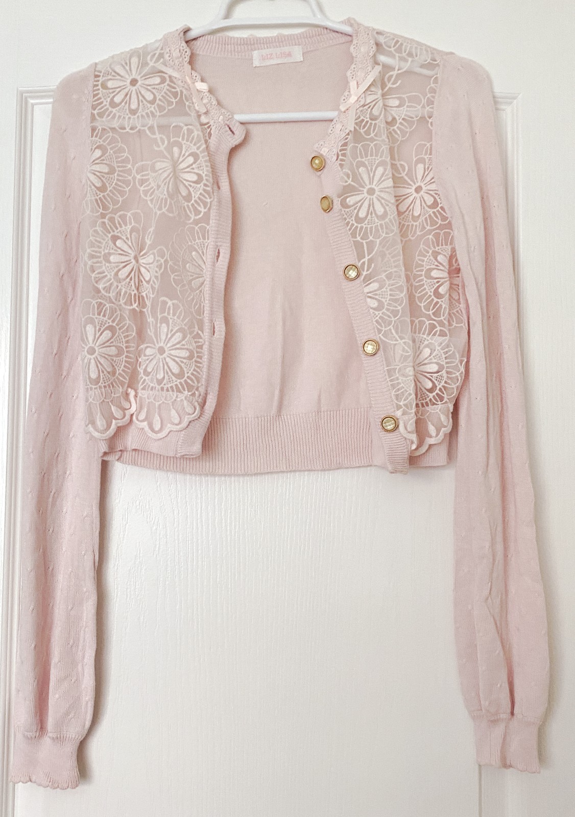 Liz Lisa Pink Floral Cardigan Sheer Long Sleeve Button Top Blouse Hime JAPAN