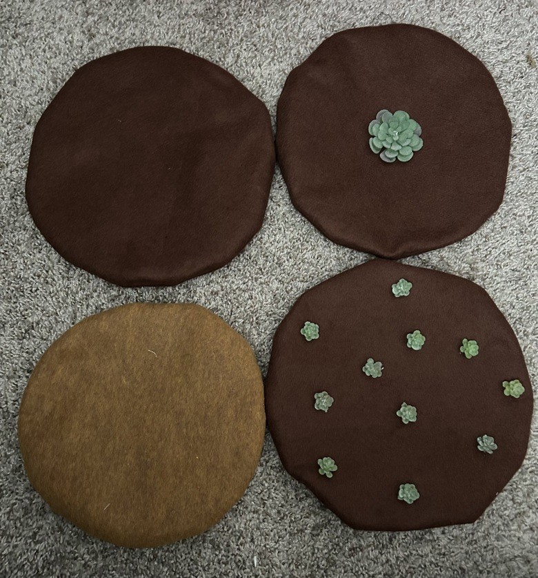 Handmade Brown Succulent Beret