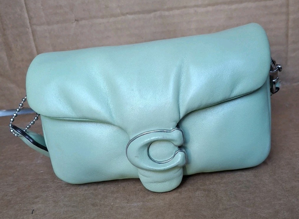 Coach Tabby 18 Pillow Leather Shoulder Bag in Pale Pistachio C3880