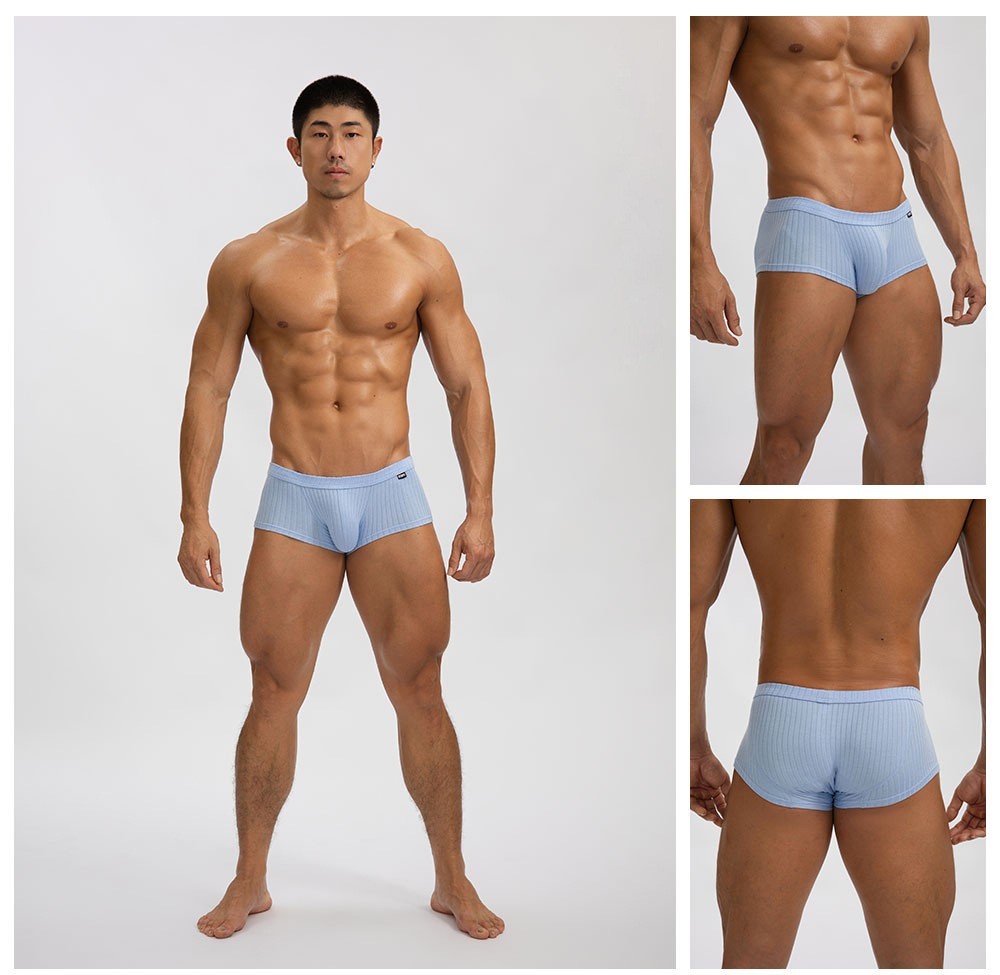 4 PCS Men’s Sexy Underwear Low waist Briefs U Pouch Striped Shorts Underpants US