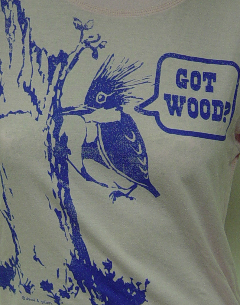 Womens Juniors David & Goliath Got Wood? MMMM Good! Pink Novelty Tee T-Shirt