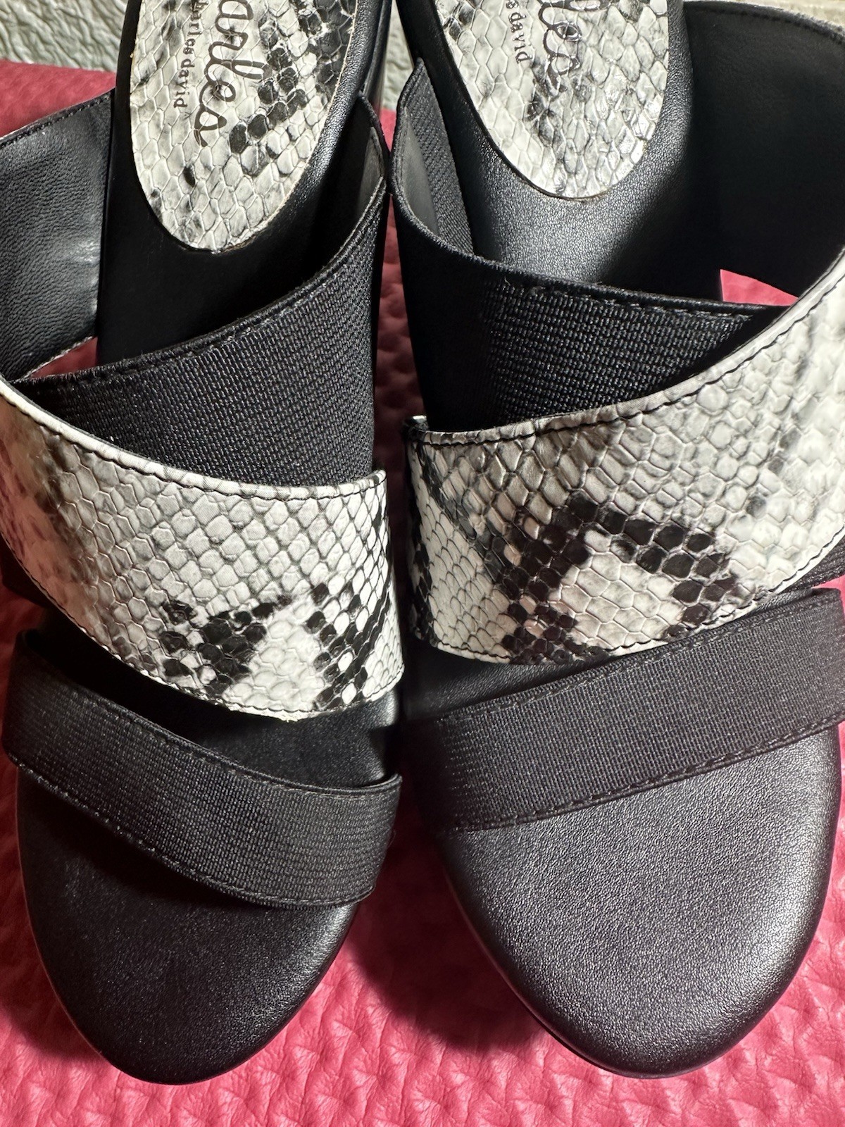 Charles by Charles David FEFE Black Snakeskin Wedge