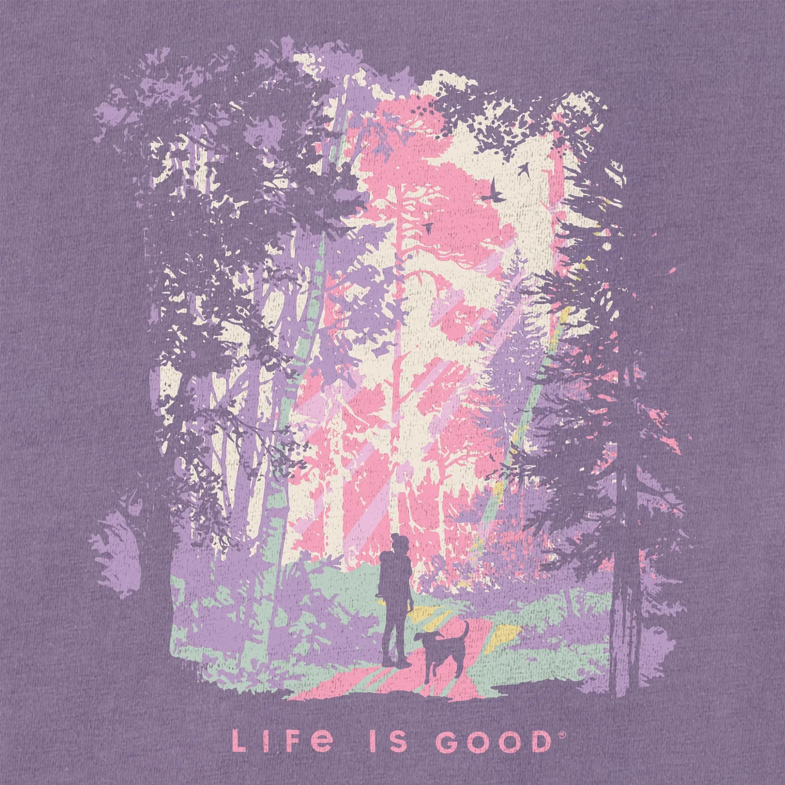 Life Is Good SS Shirt Crusher Tee HIKER SUNBEAMS WOODS Jackie Dog Womens XL