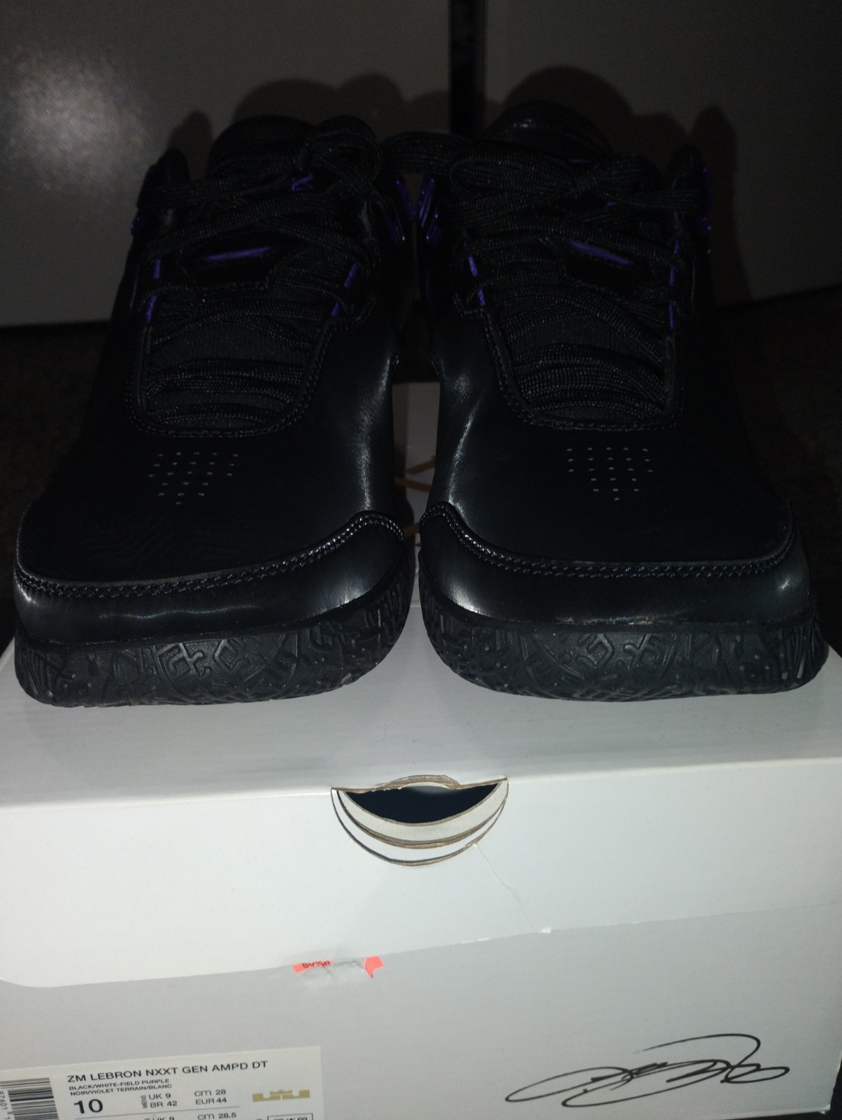 Nike ZM LeBron NXXT Gen AMPD DT Black White Purple Size 10 (Pre-Owned)