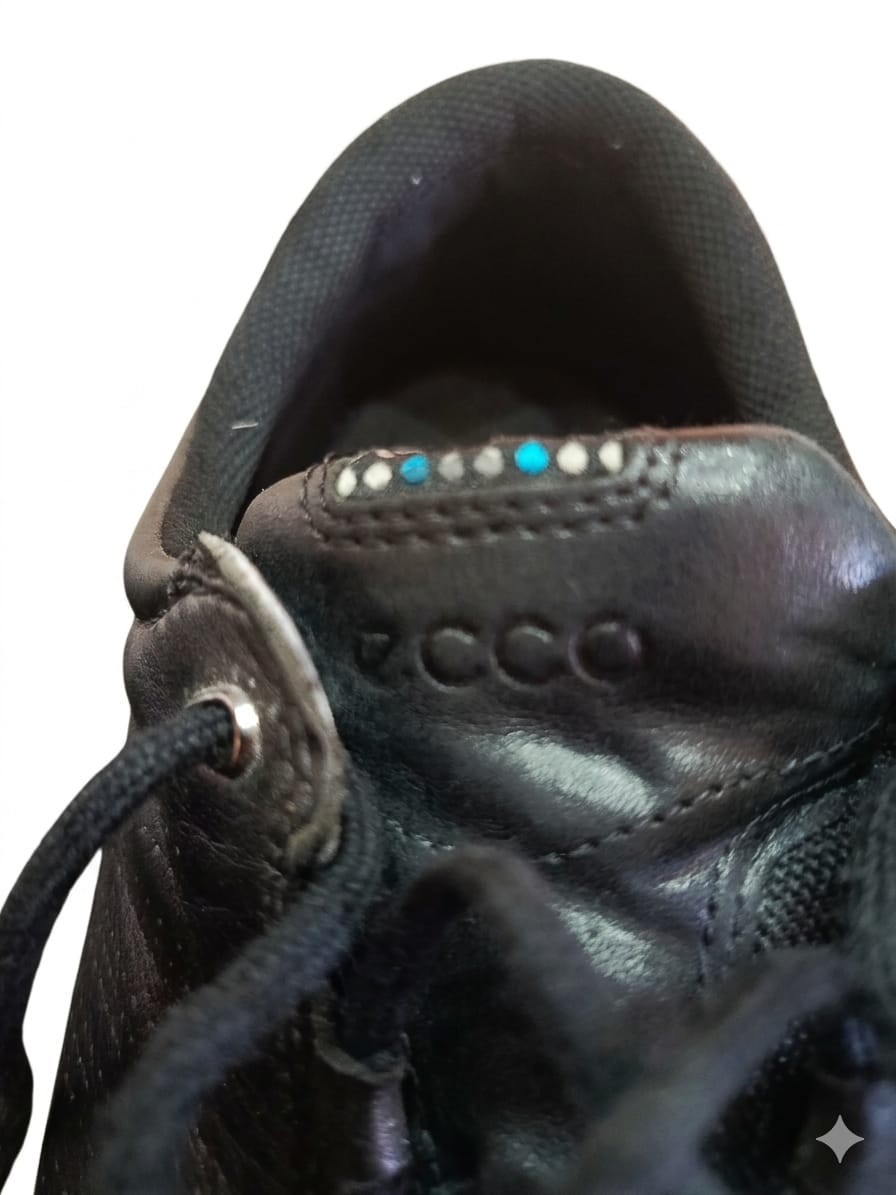 ECCO Gore-Tex Surround Black Leather Men’s Shoes Size 43
