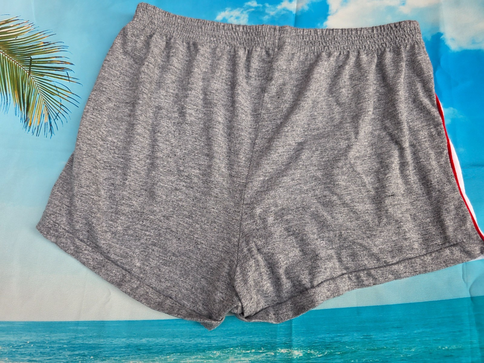 VINTAGE TIMBER LAKE CLASSICS MENS GRAY SHORTS SIZE MEDIUM COTTON