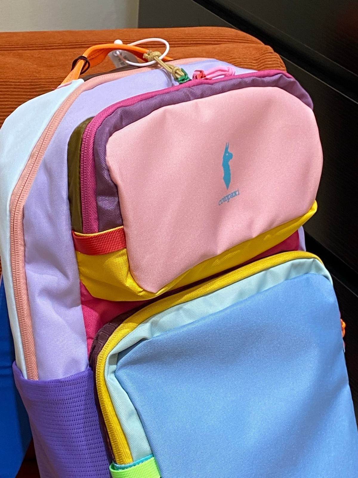 Cotopaxi Blue & Pink Dopamine Color-Block Alpaca Backpack 26x15x43cm