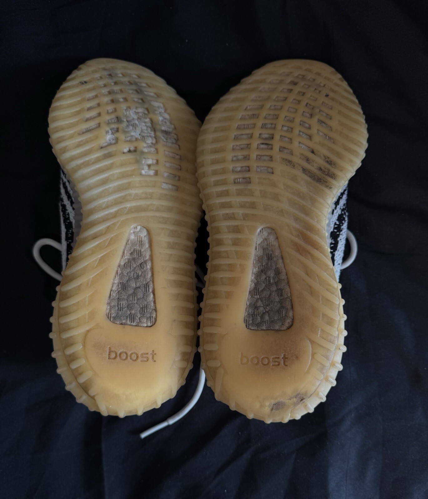 Yeezy Zebra Size 8