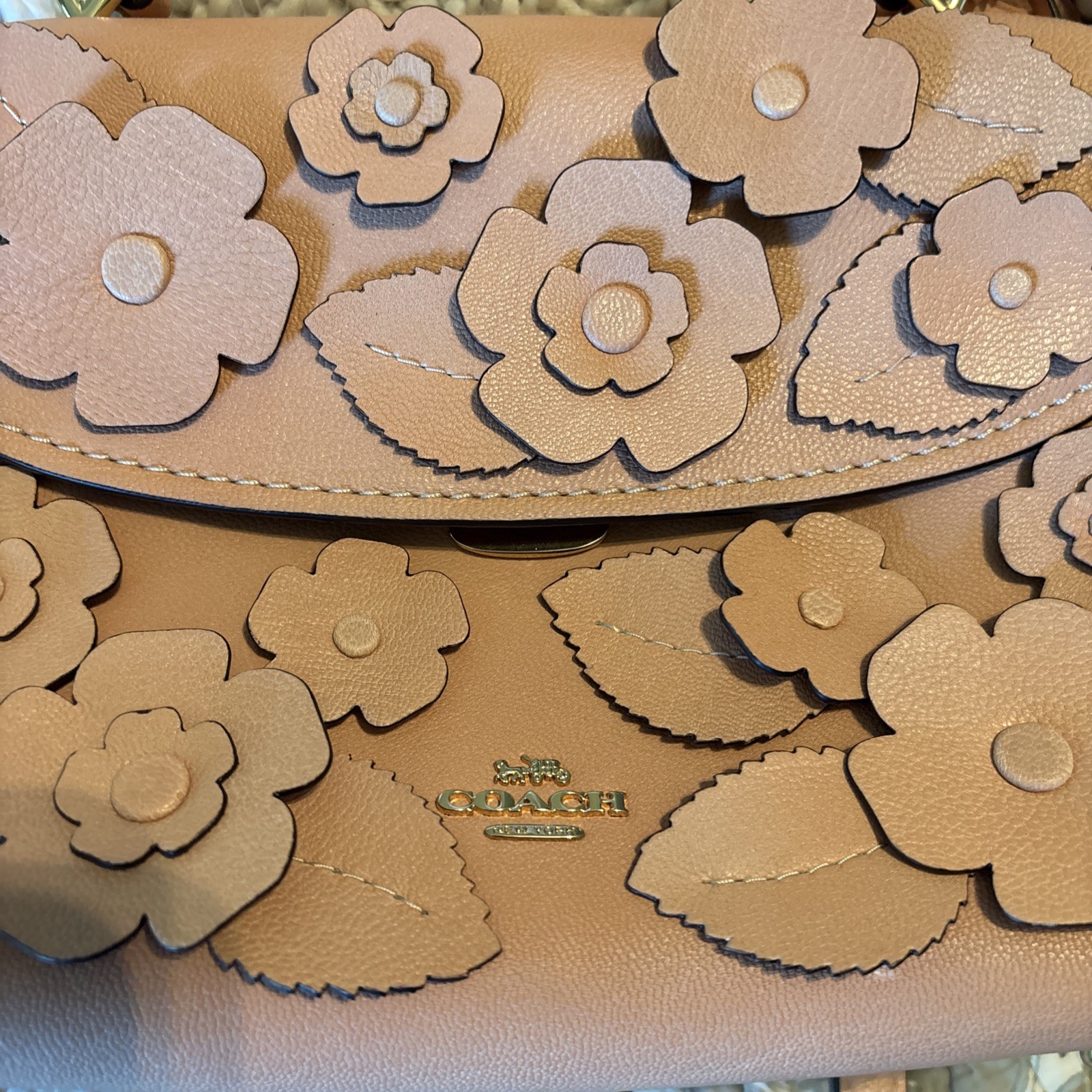 NWT COACH Emory Top Handle Bag with Floral Appliqué in Light Pink Color CDY44