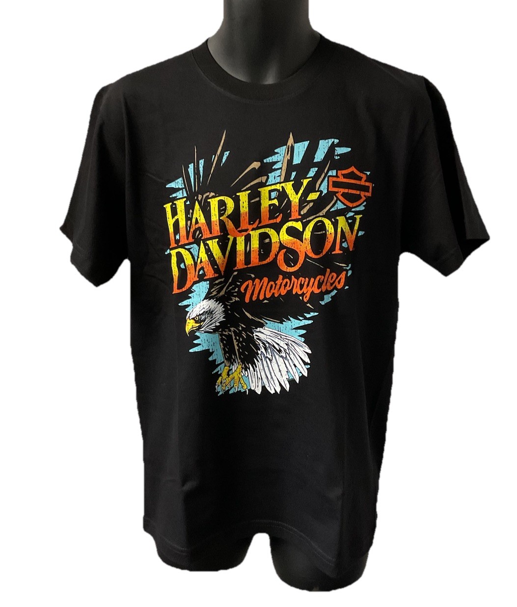 Harley Davidson Men’s Swoop In Short Sleeve T-Shirt Black 3002866-BLCK