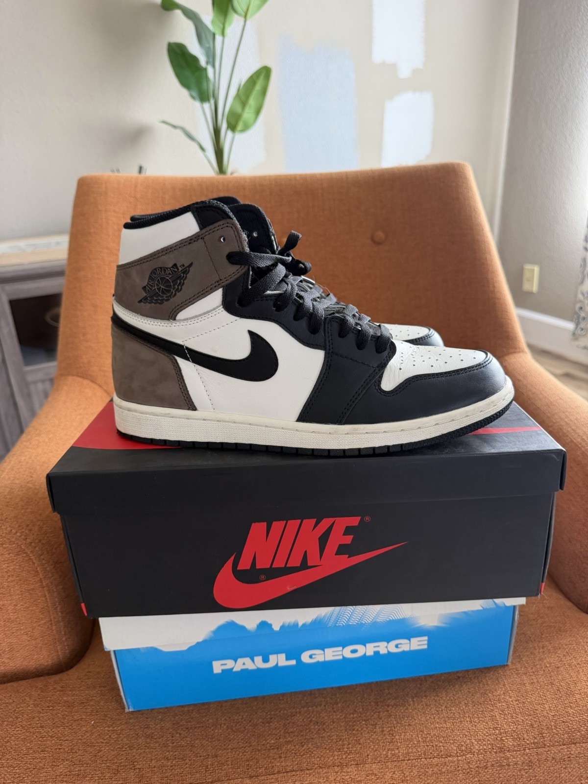 Nike Air Jordan 1 Mochas 10.5