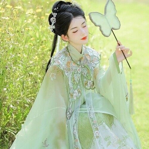 Chinese Hanfu Ming Dynasty Cloud Shoulder Stand Collar Long Shirt Pleated Dress
