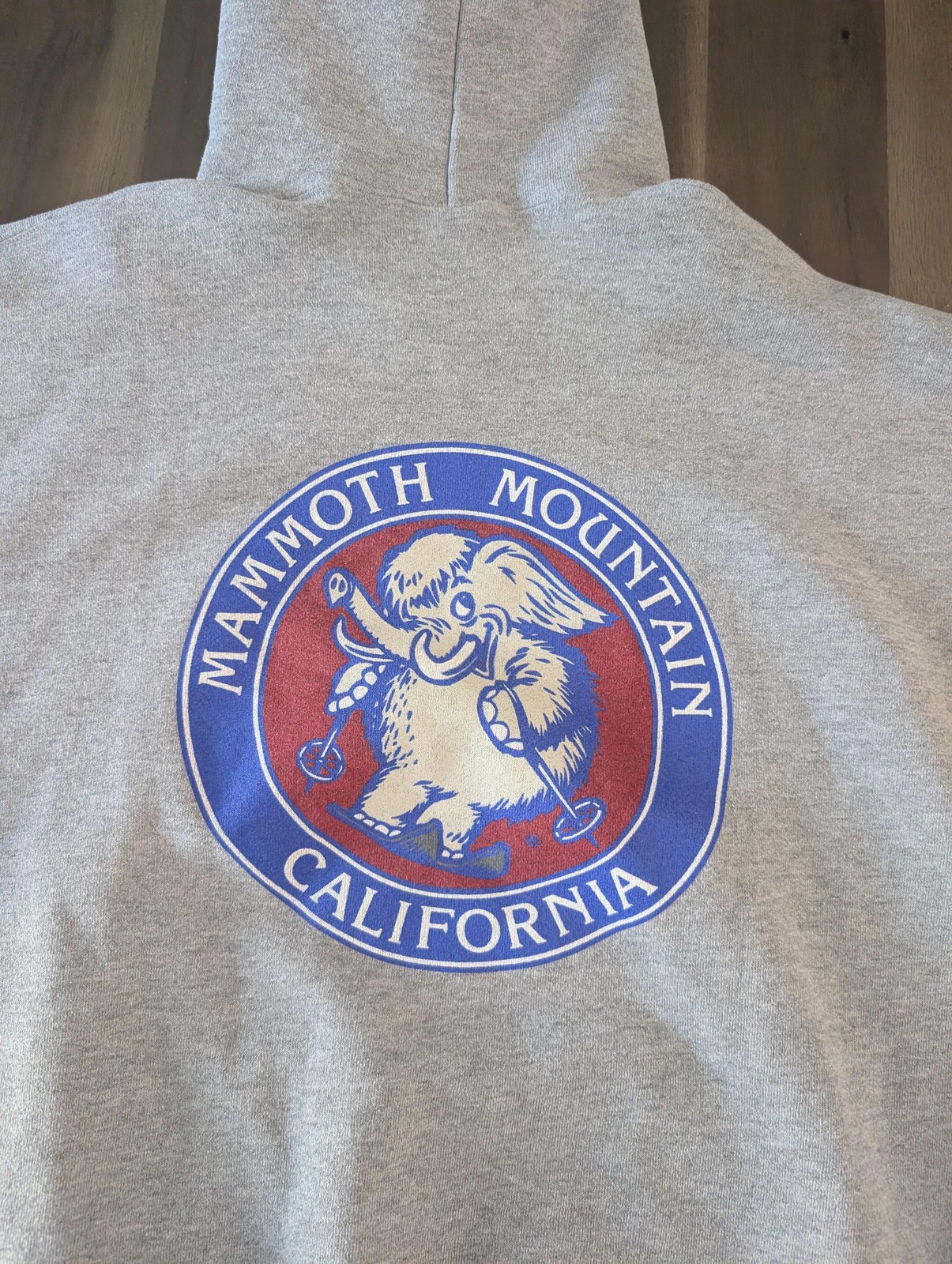 Mammoth Mountain Hoodie Mens XL Gray Soffe Skiing Mammoth Graphic California