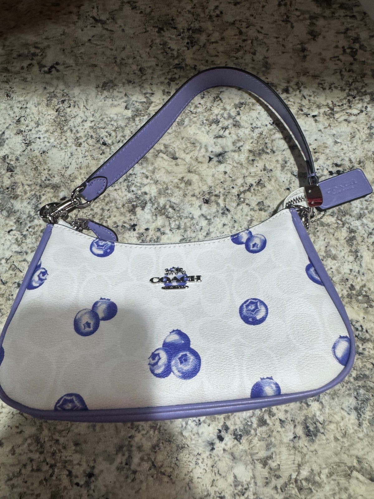 Coach Teri Blueberry Print Shoulder Bag