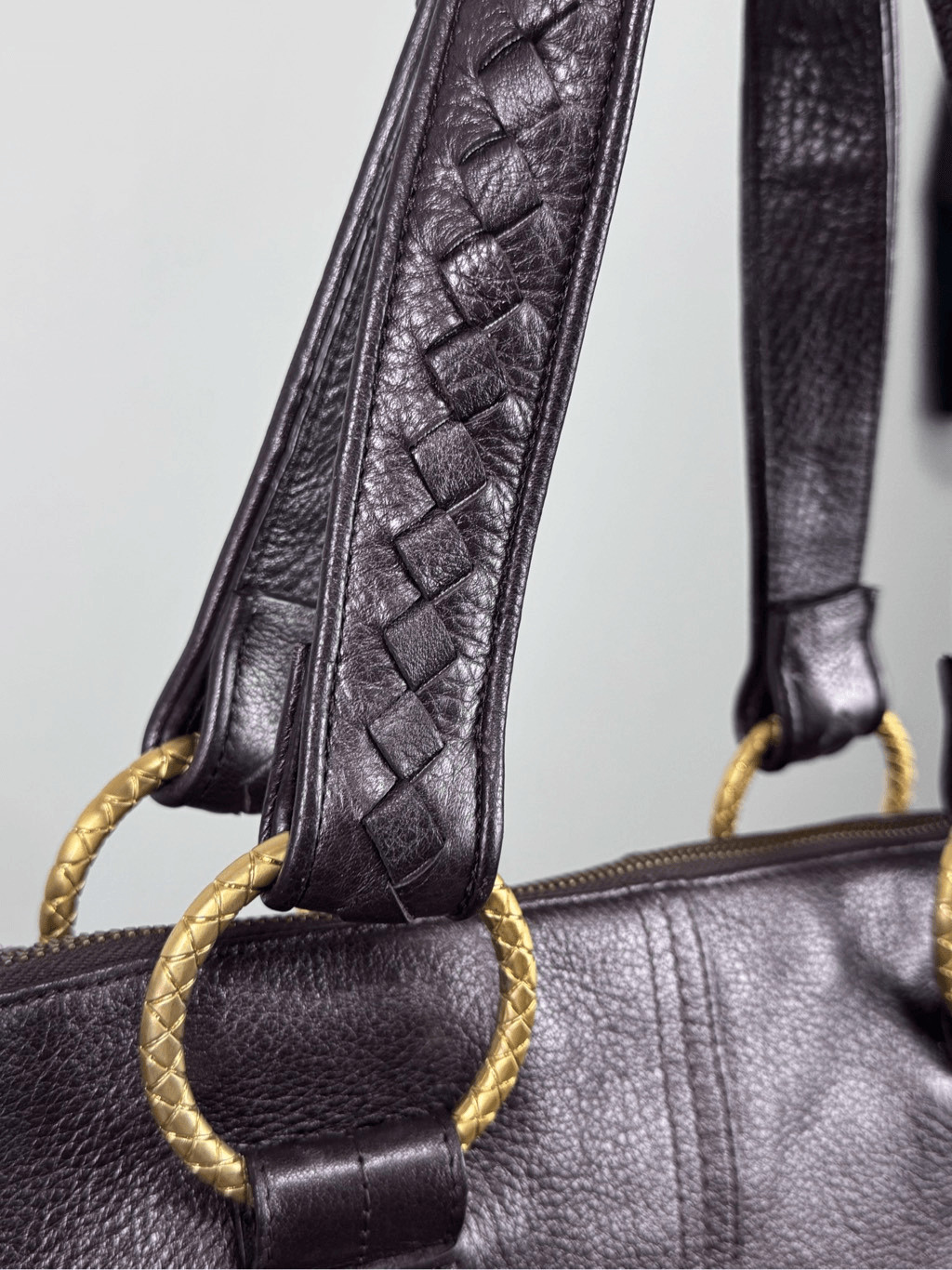 Elliott Lucca Brown Sheen 100% Leather Tote Shoulder Bag