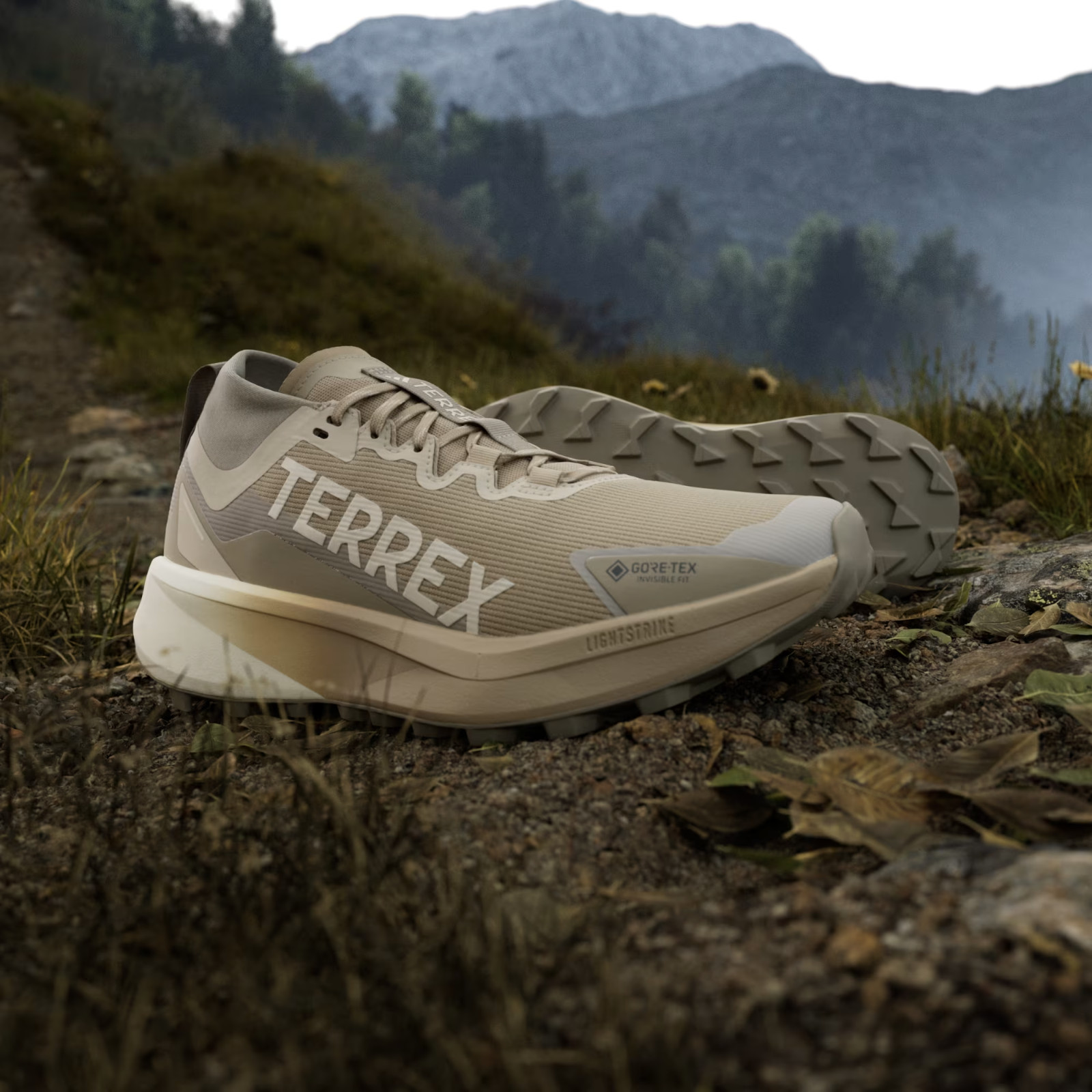 adidas TERREX AGRAVIC GTX TRAIL RUNNING JR1507 Blanch Cargo / Alumina / Beige