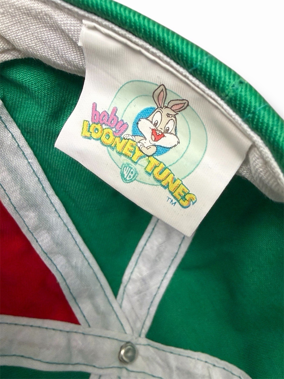 Vintage 90s Baby Looney Tunes Taz Youth Snapback Hat Warner Bros NOS Warner Bros