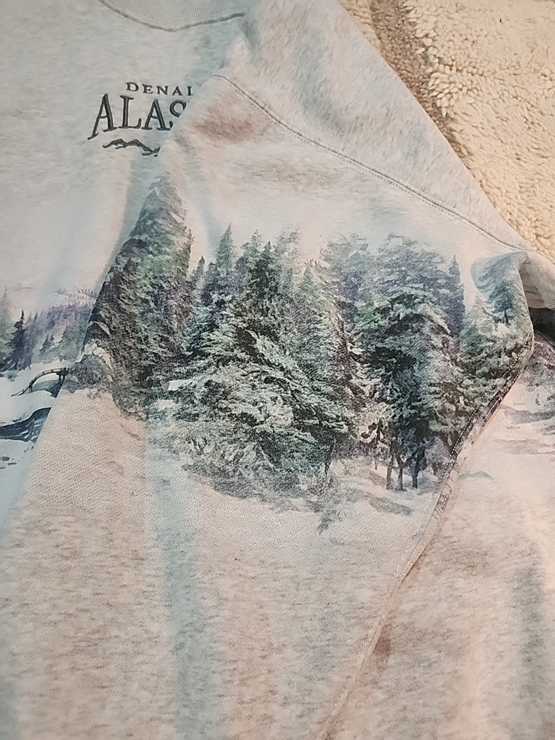 Abercrombie Denali Alaska Crewneck Soft A&F Sweatshirt Large Euc