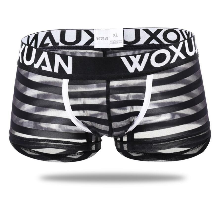 Men’s Sexy Underwear Transparent Underpants Boxers Mesh Shorts Pouch Briefs