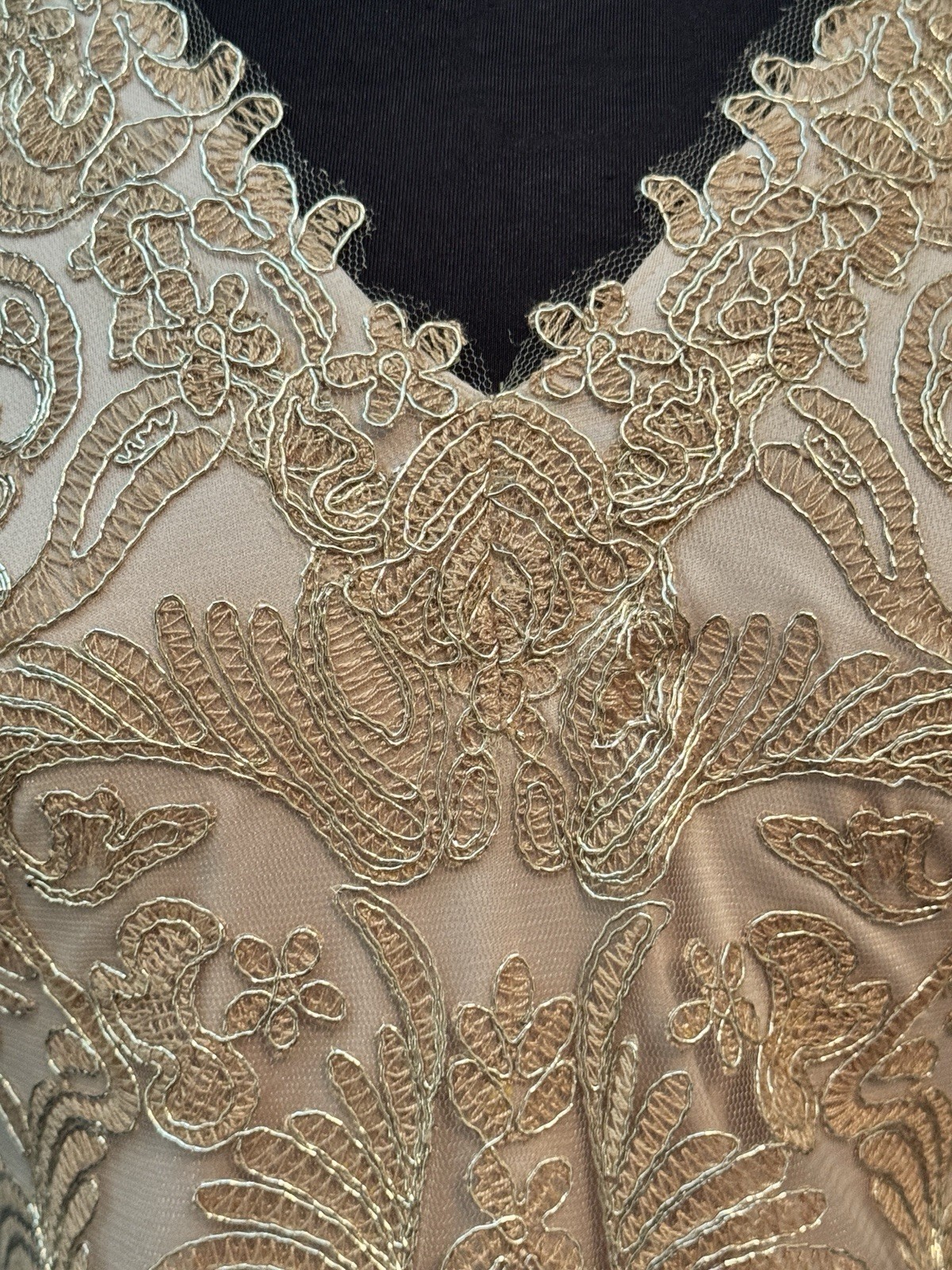 TADASHI SHOJI CORDED EMBROIDERED LACE DRESS SIZE 2