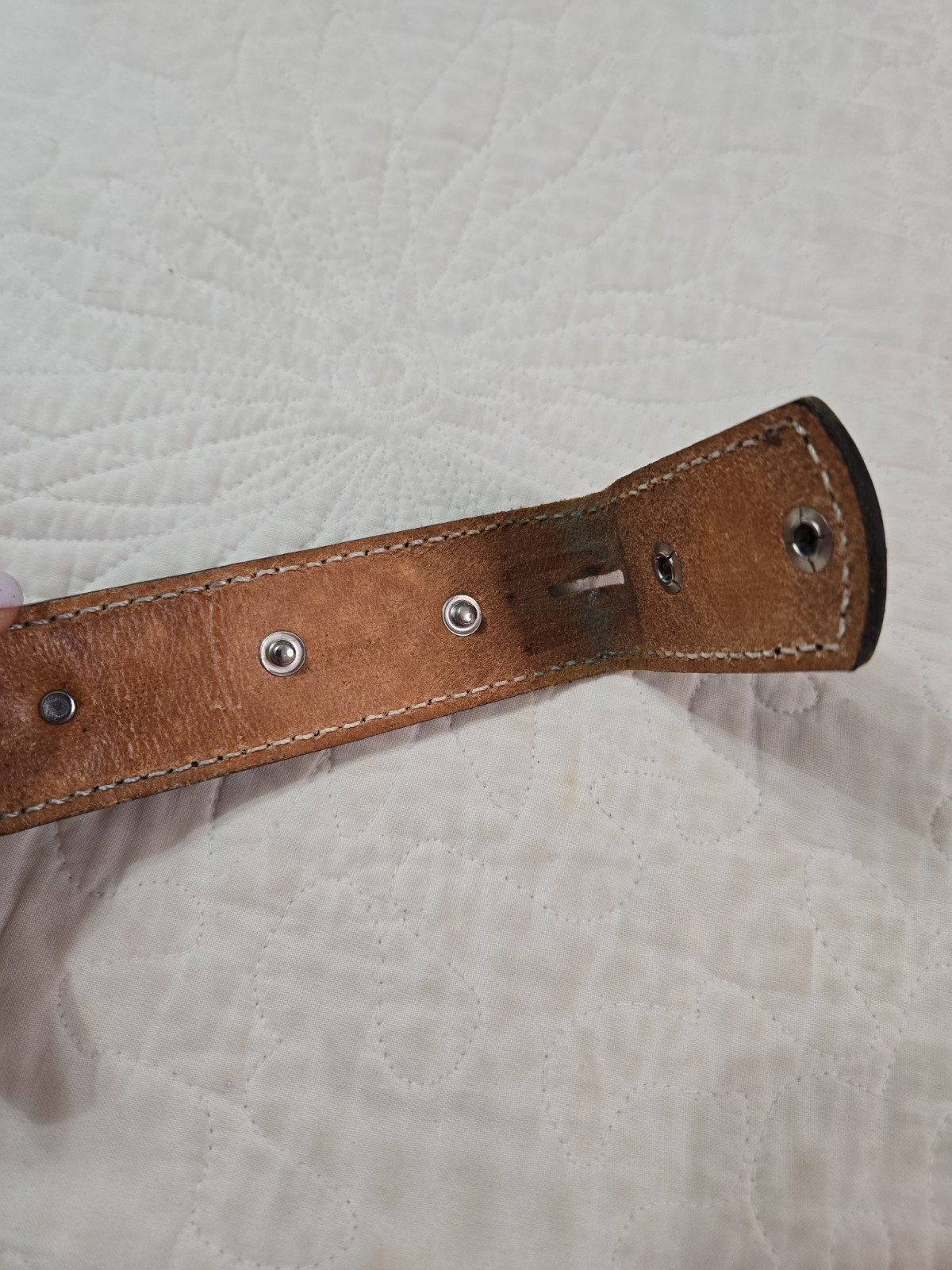 Double J Saddlery Belt Black Leather Concho Two Tone Metal Accents 38 No Buckle