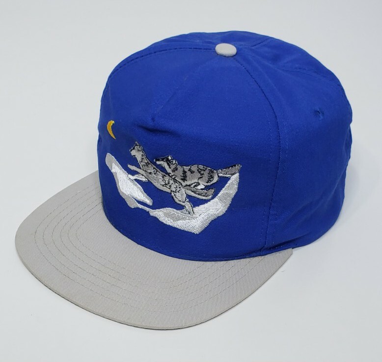 Vintage Wolf-Pak San Sun Terrycloth Head Band Blue Snapback Hat Cap OSFA