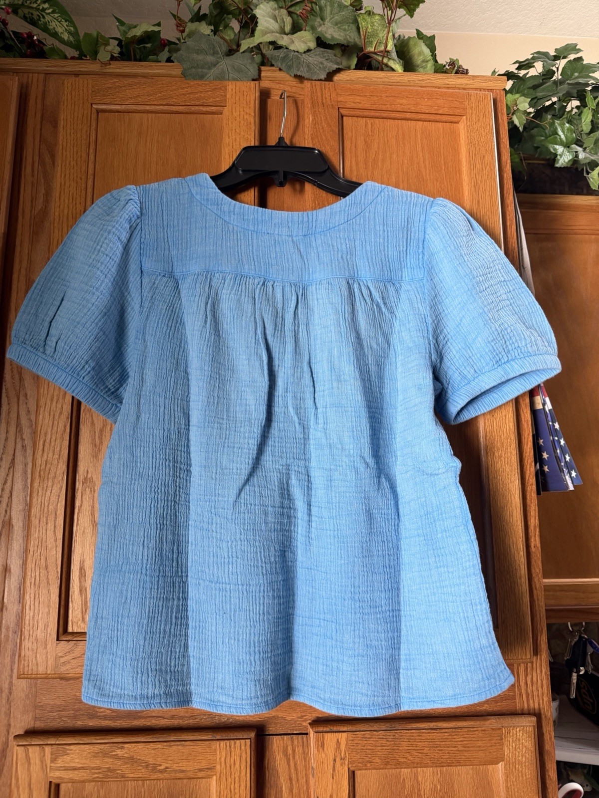 CARVE Designs Womens MILO Gauze Top Classic Puff Sleeve Button Down Lagoon Small