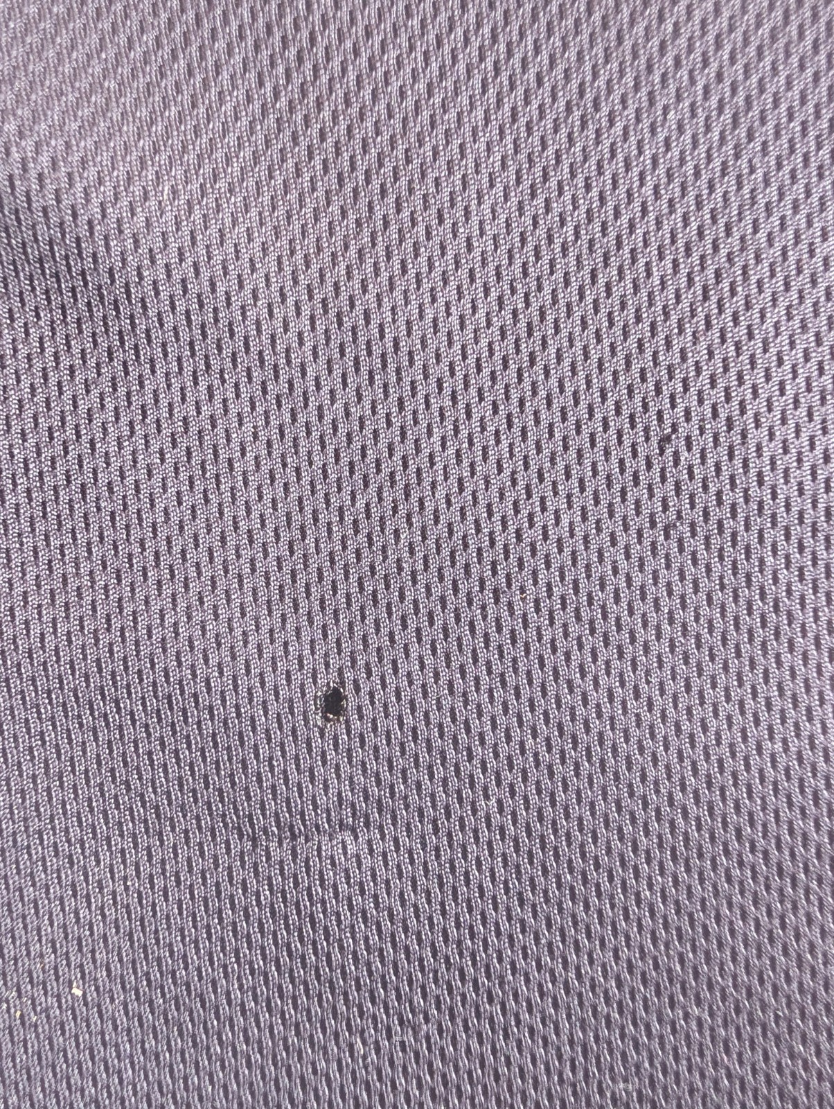 FedEx Short Sleeve Medium Polo Shirt Black Purple FedEx Lot Of 2