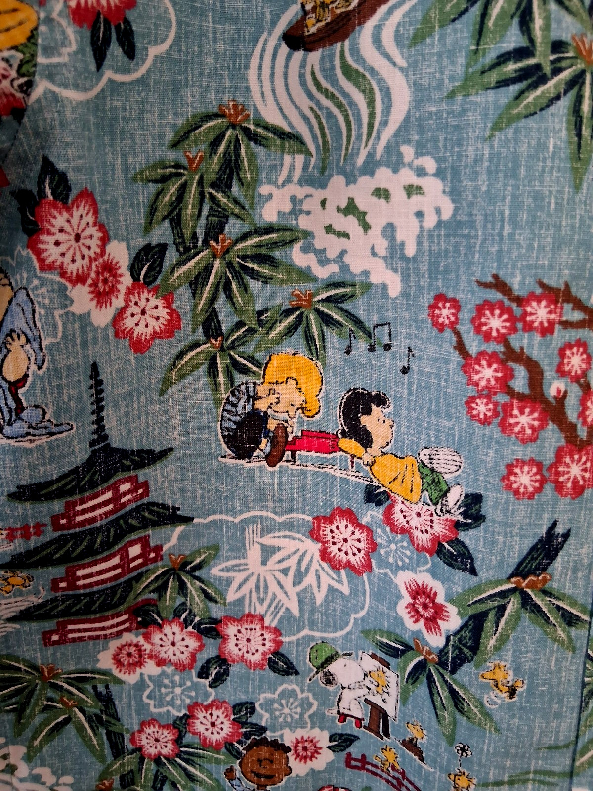 Reyn Spooner Boy’s “PEANUTS IN JAPAN” NWT Aqua Button Front Shirt Sizes