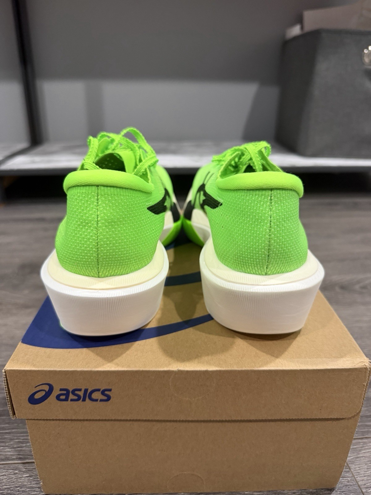 Mens Size 9.5 – ASICS Metaspeed Sky Tokyo Green Gecko New With Box