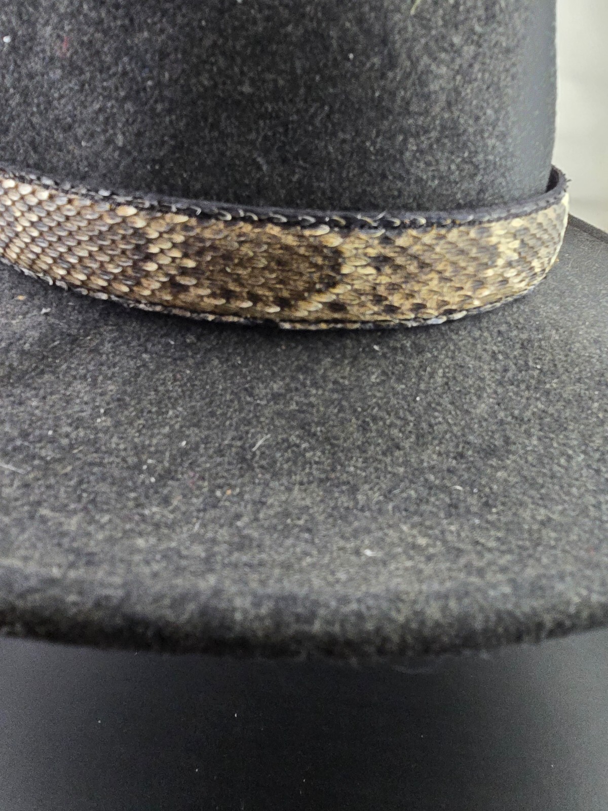 RATTLESNAKE skin hat band adjustable and rattlesnake bone Western cowboy cowgirl