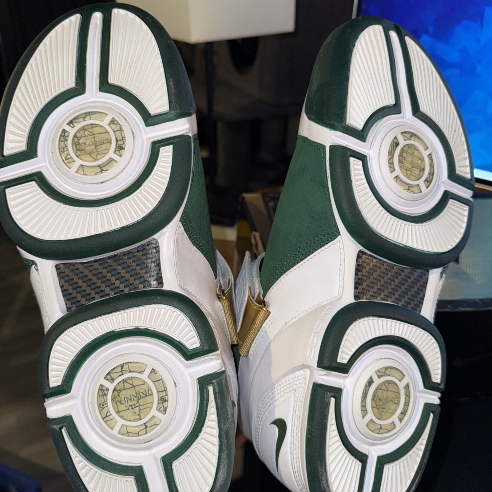 Size 10 – Nike Zoom LeBron 5 Birthday