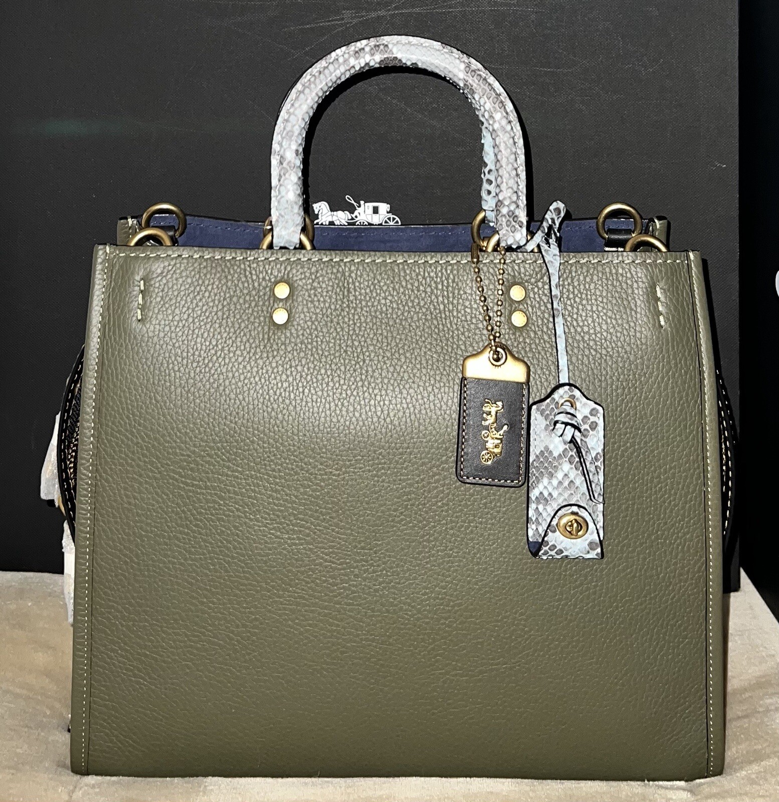 Coach 1941 MTO Rogue Bag In Colorblock With Snakeskin Detail, Style 59997, NWT!