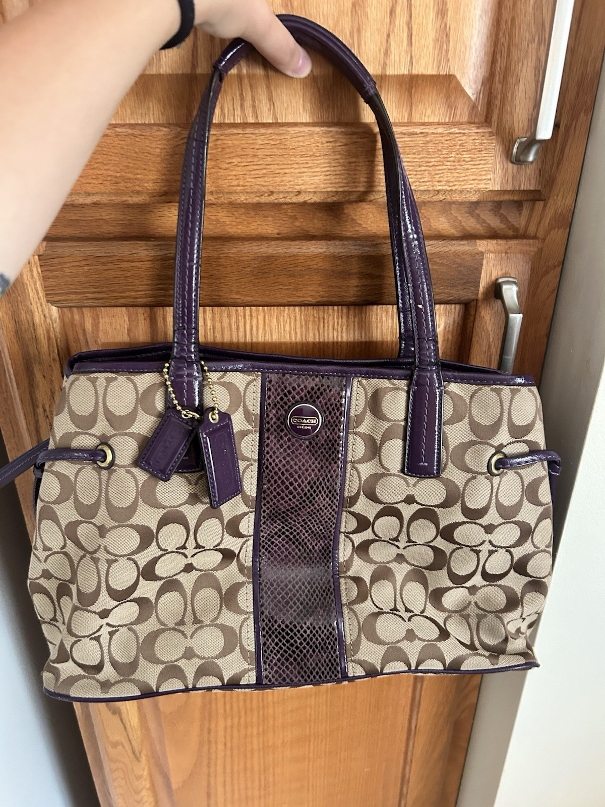 Coach Beige/Purple Signature Tote Bag Zip Closure Gold Hardware