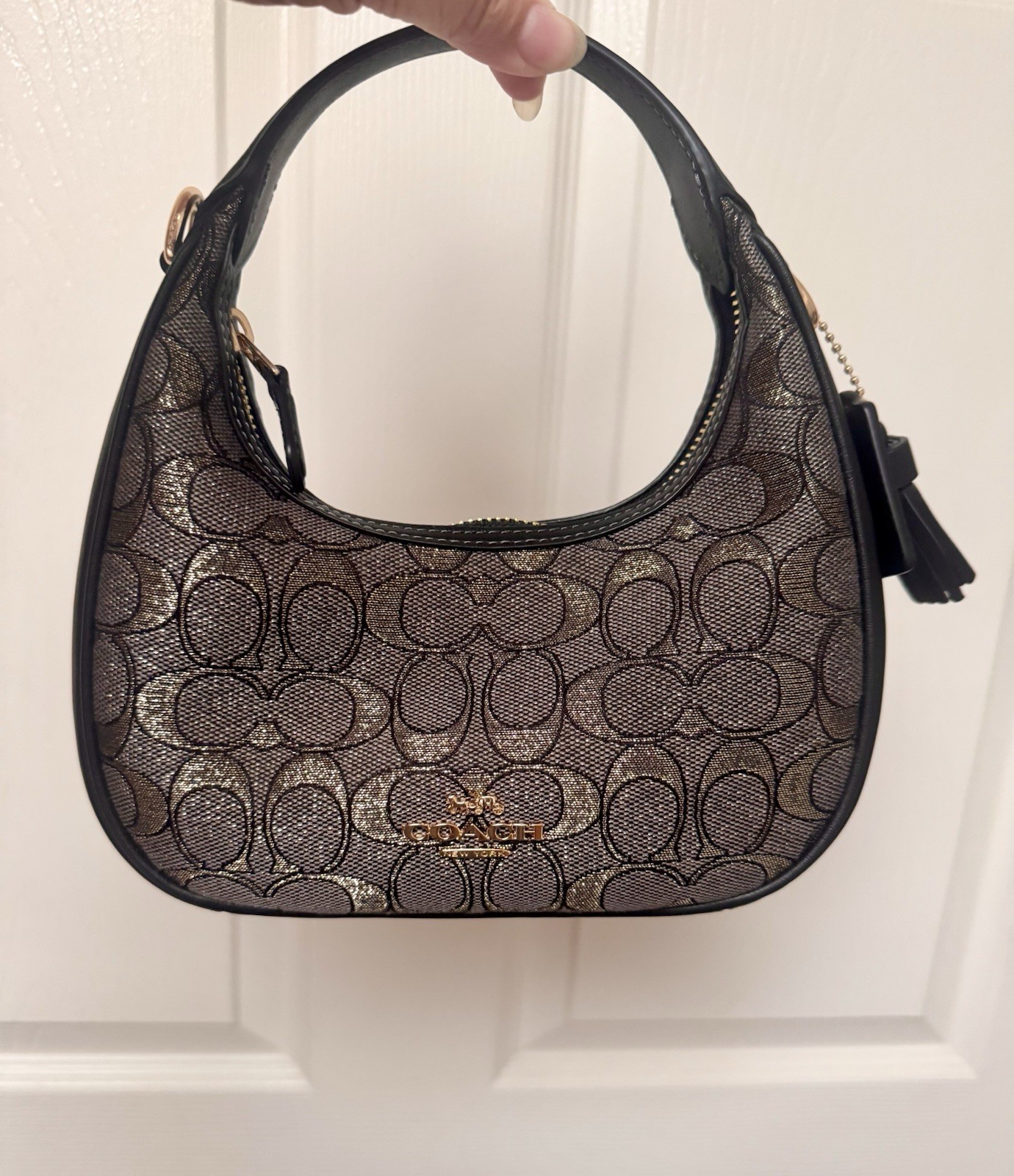 NWT Coach CCF76 Carmen Mini Crossbody Bag In Signature Jacquard Leather $298